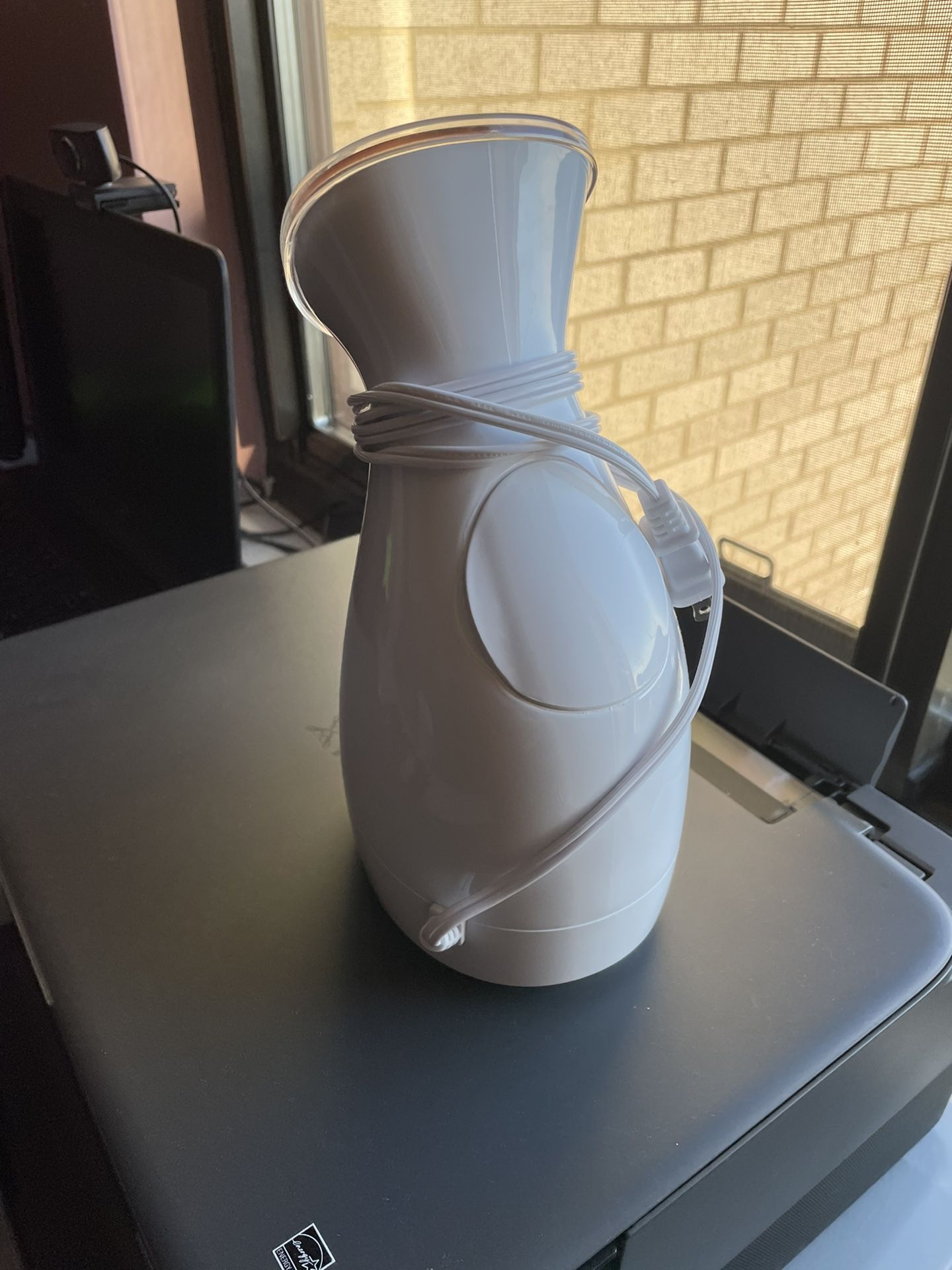 Face Steamer