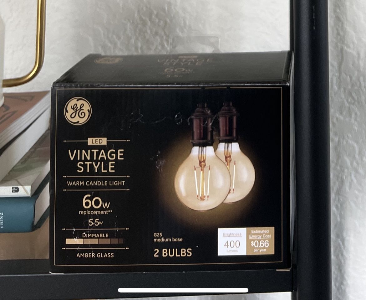 Floor Lamp + Two Light Bulbs