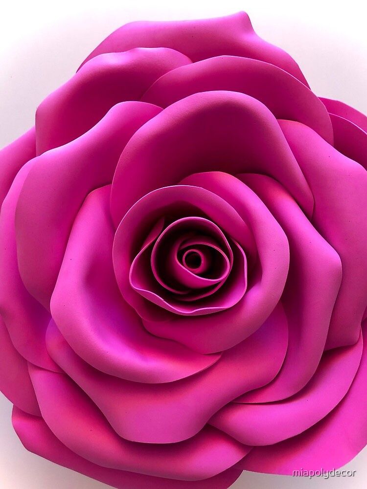 Giant Roses for Wall decor/Backdrop