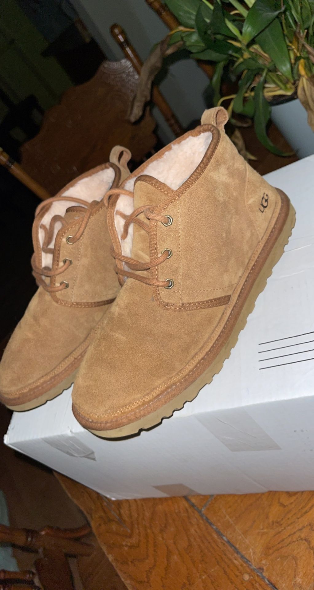 Ugg Men Boots