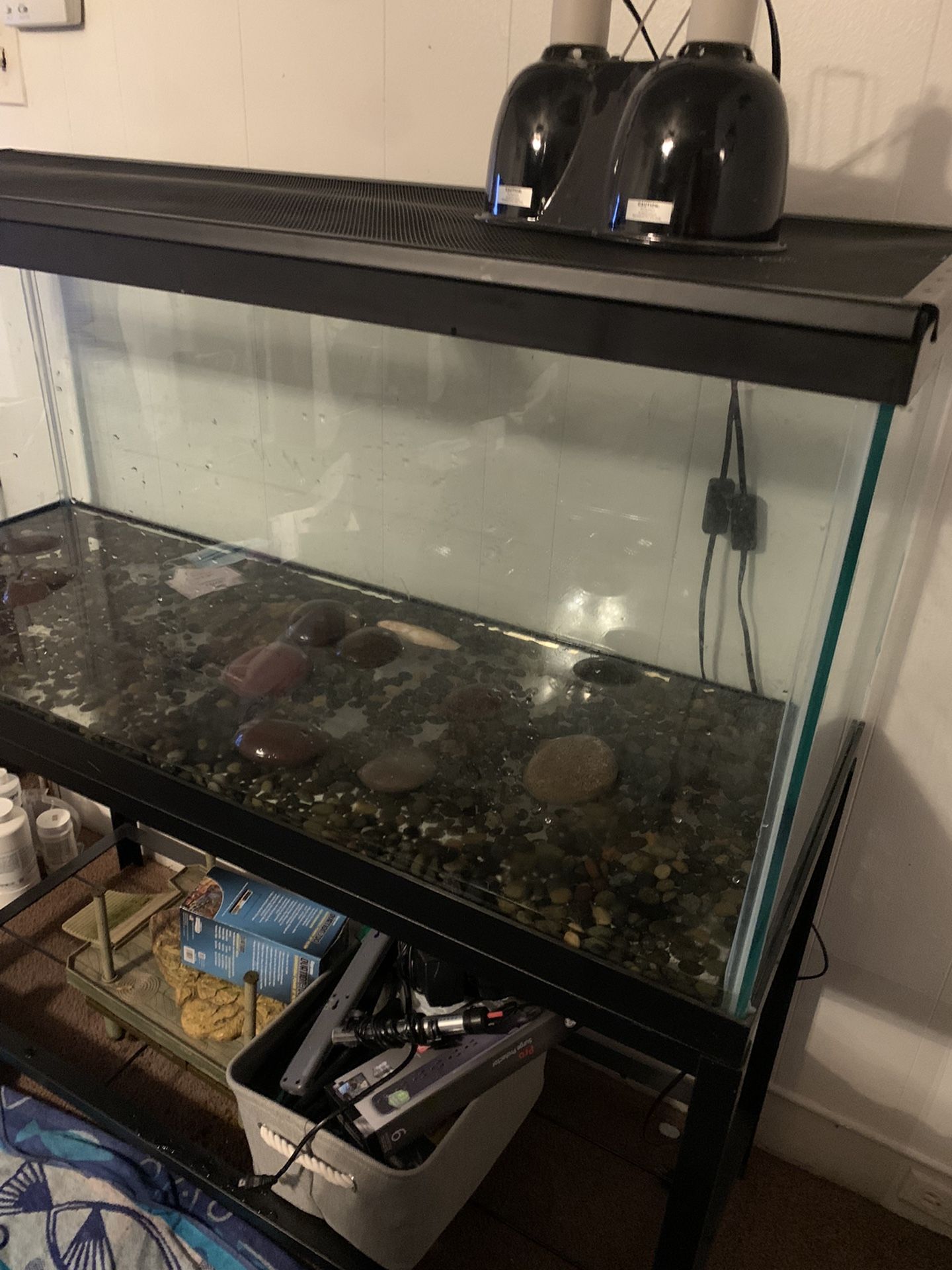 75 Gallon Tank, Stand, Lid And Lights