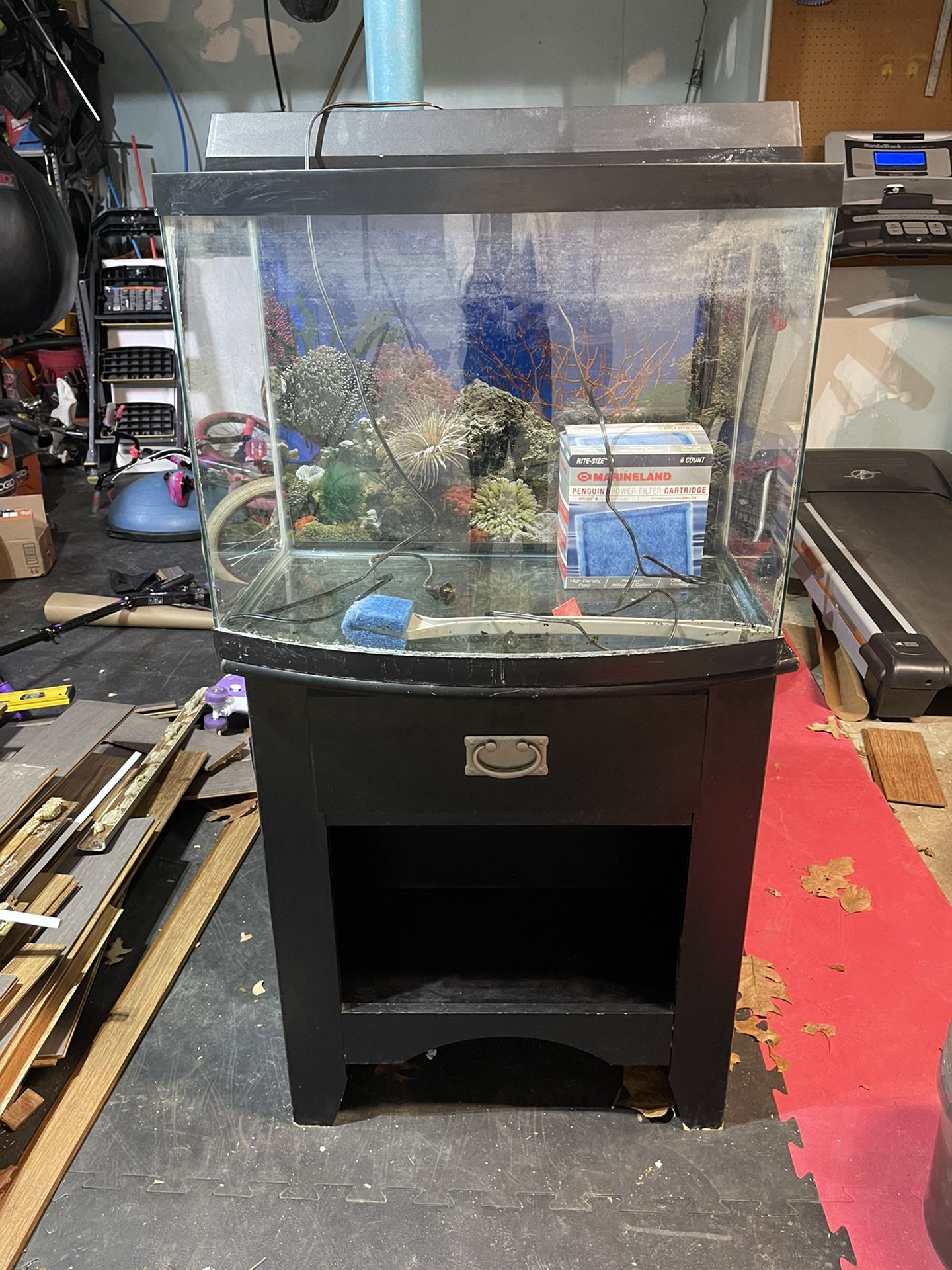 30 Gallon Fish Tank