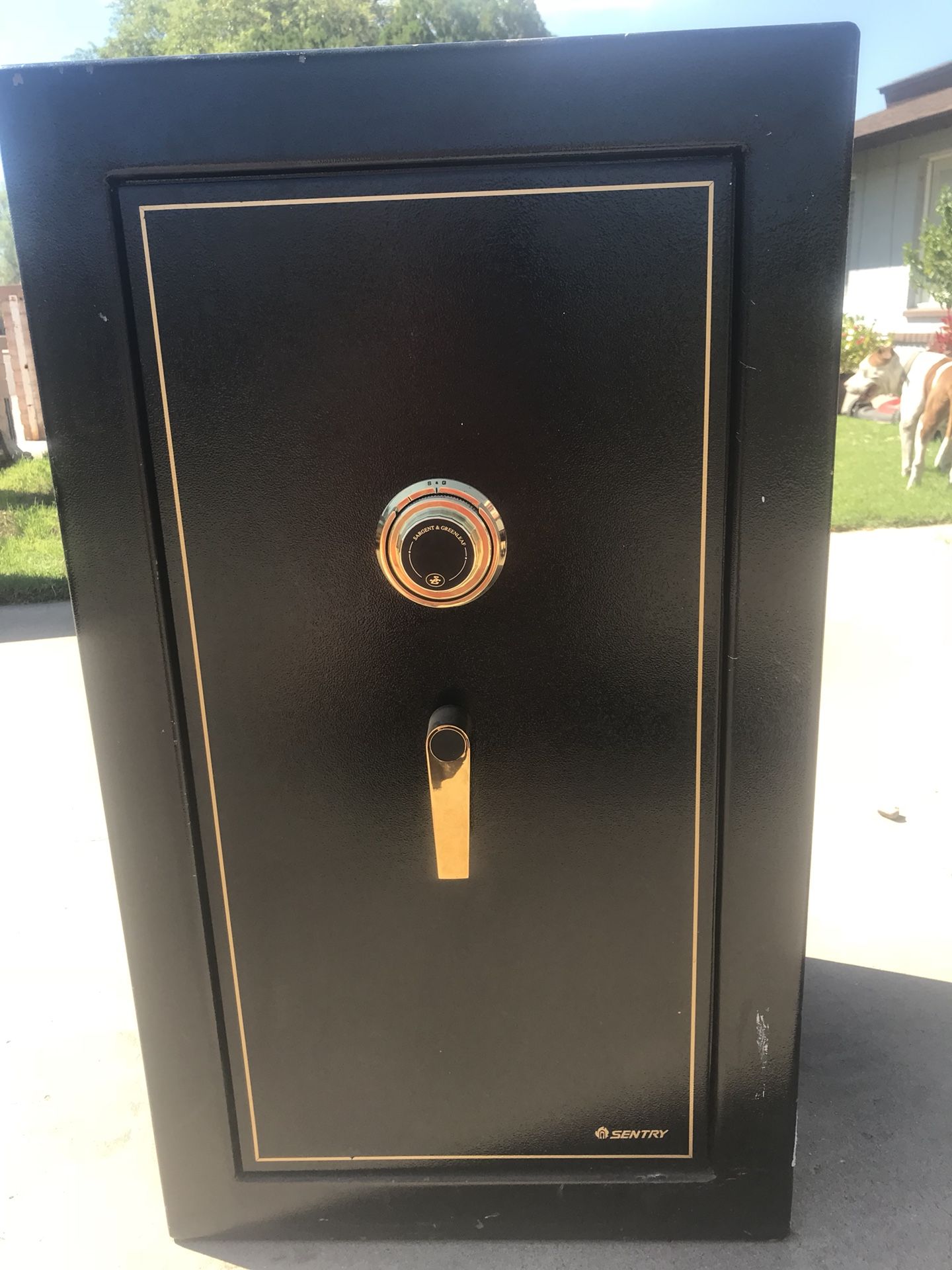 Sentry D888 Firesafe Executive Safe w/ 2 combination, relocker, lock