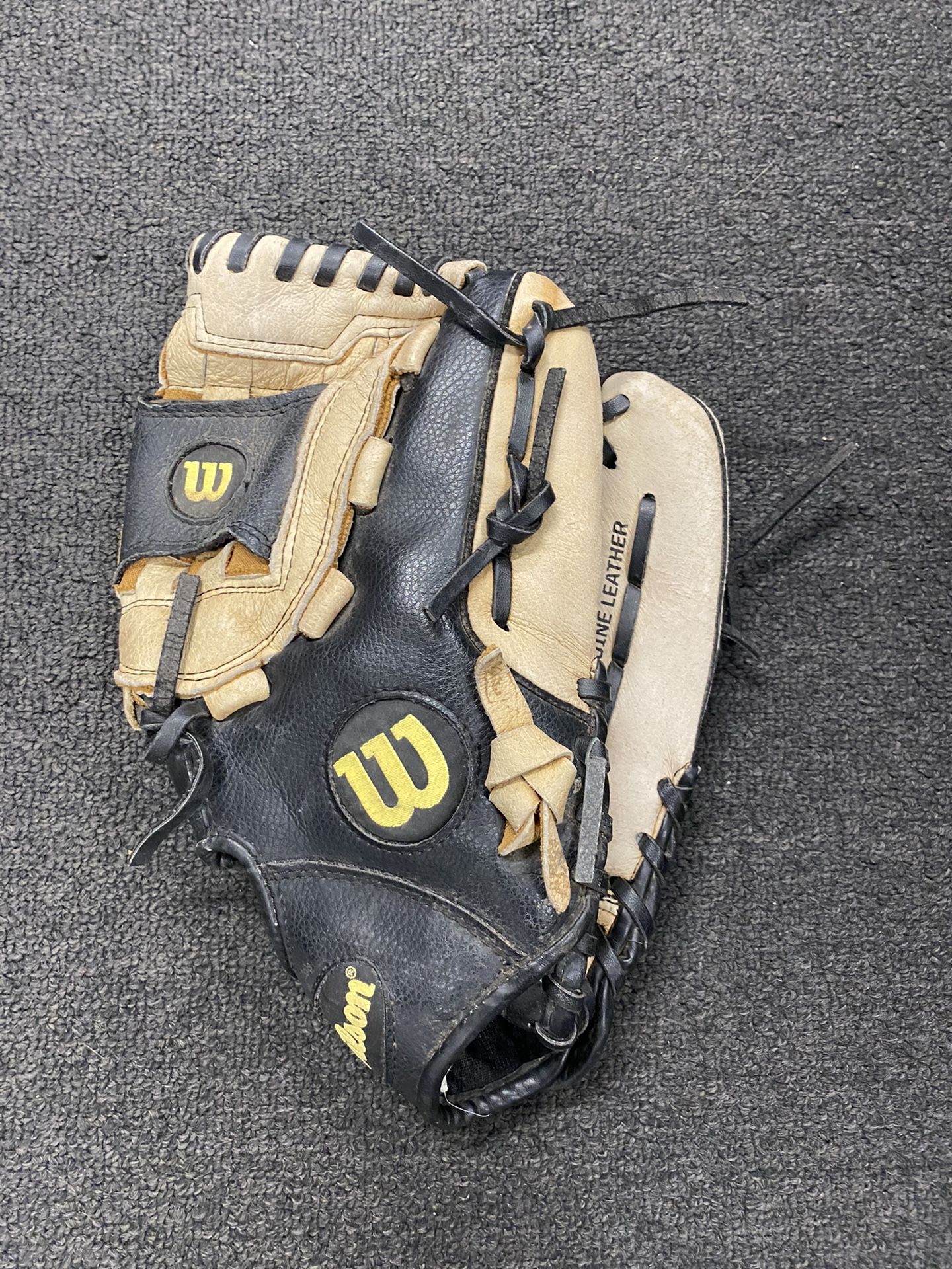 Baseball Glove