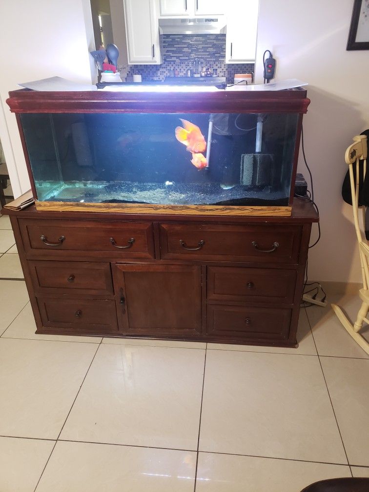 Complete Aquarium Set Up. ((PENDING))