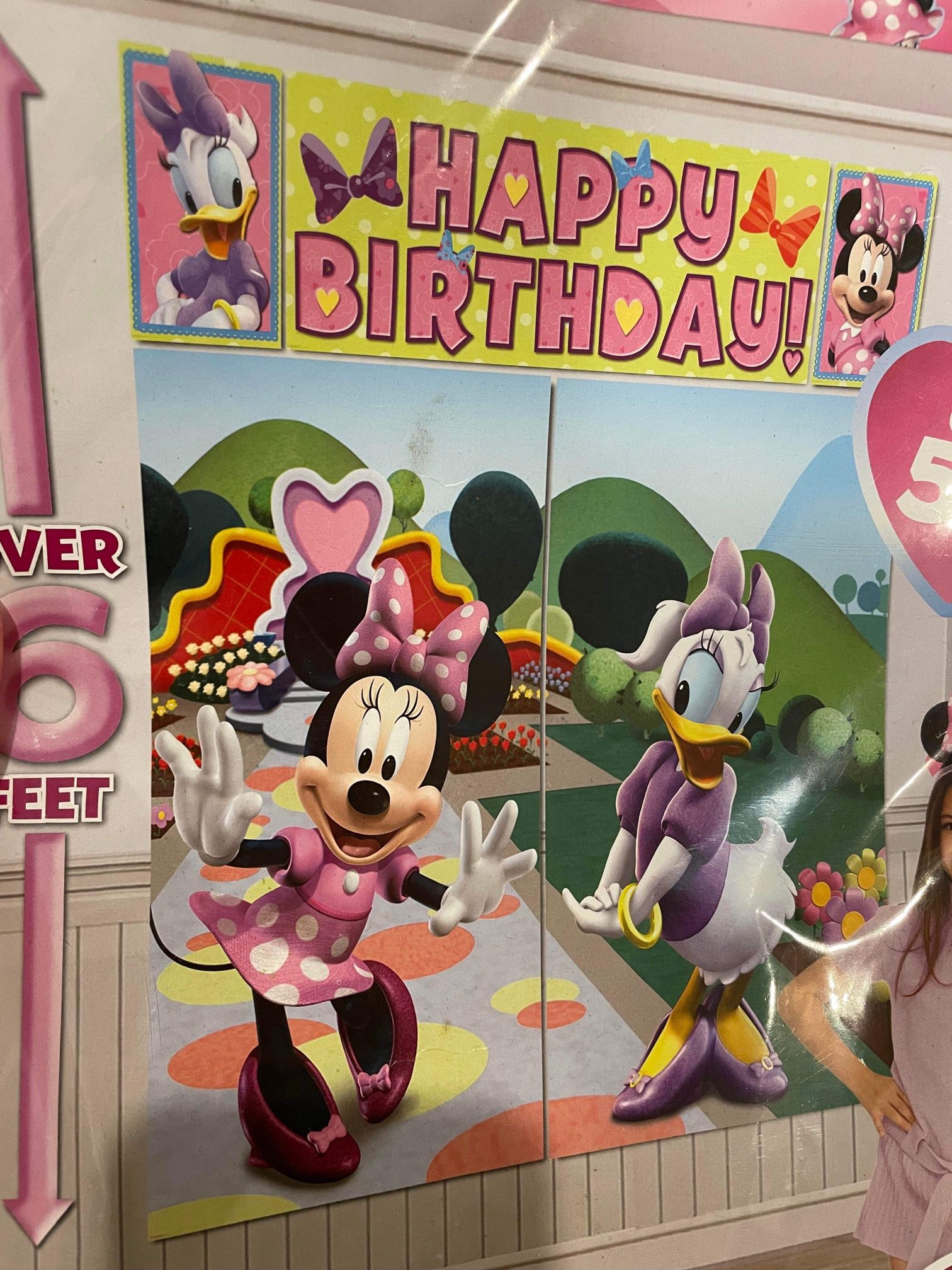 Disney Minnie Mouse Birthday Photo Backdrop