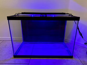 20 Gal Aqueon Fish Tank with LED Touch Light and Glass Canopy  Thumbnail