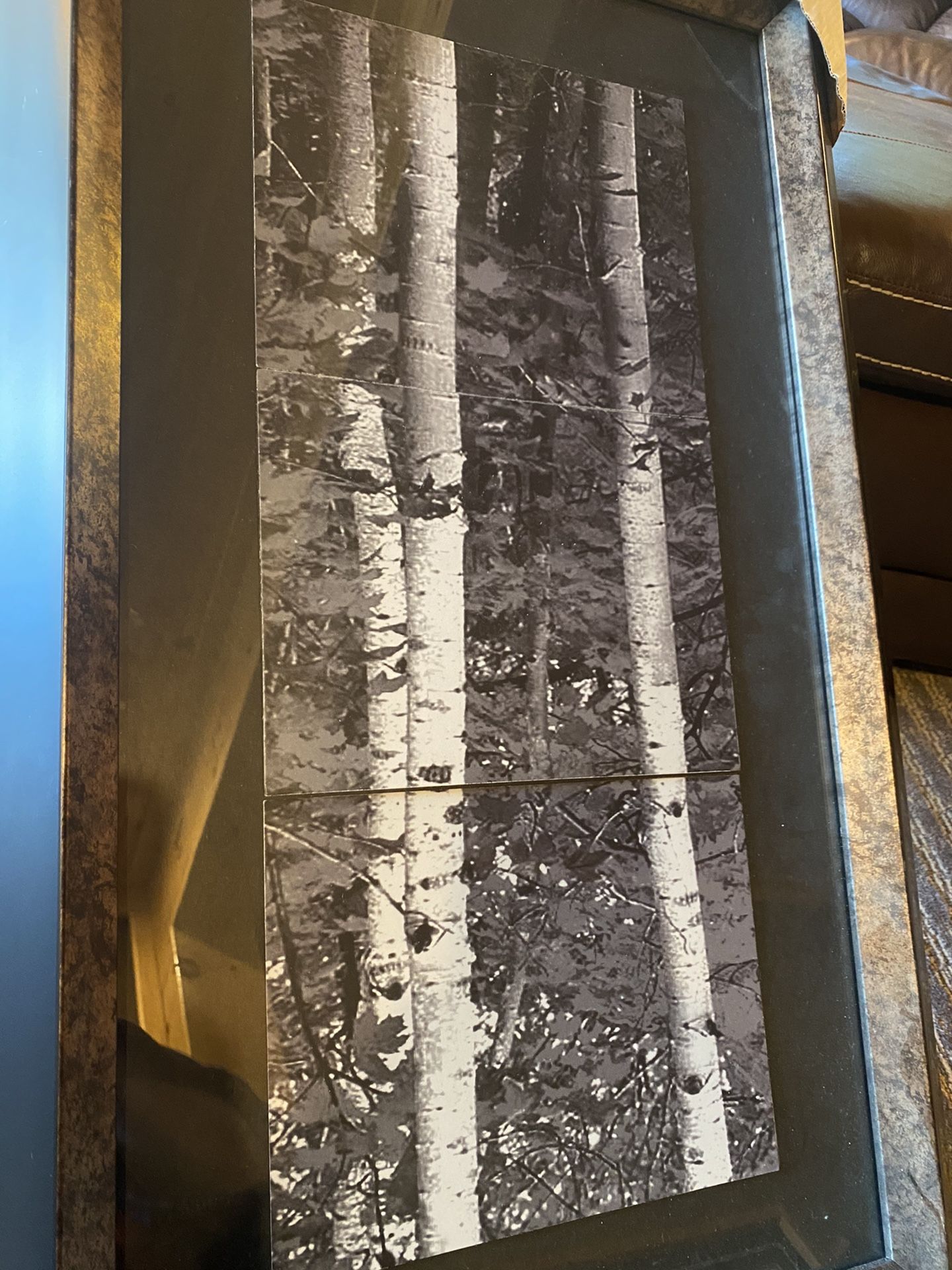 Framed Birch Tree Artwork NEW