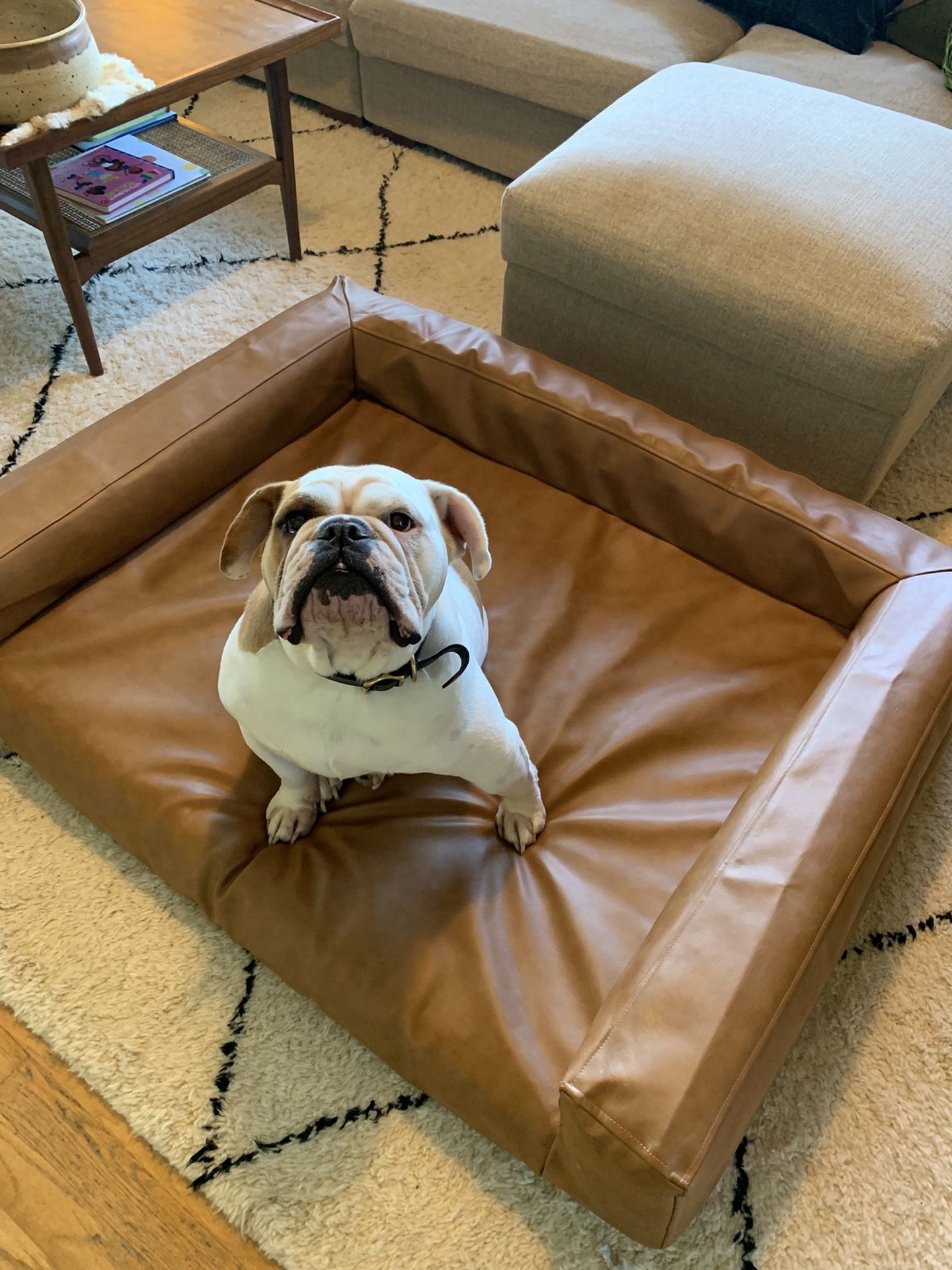 High Quality Leather Dog Bed