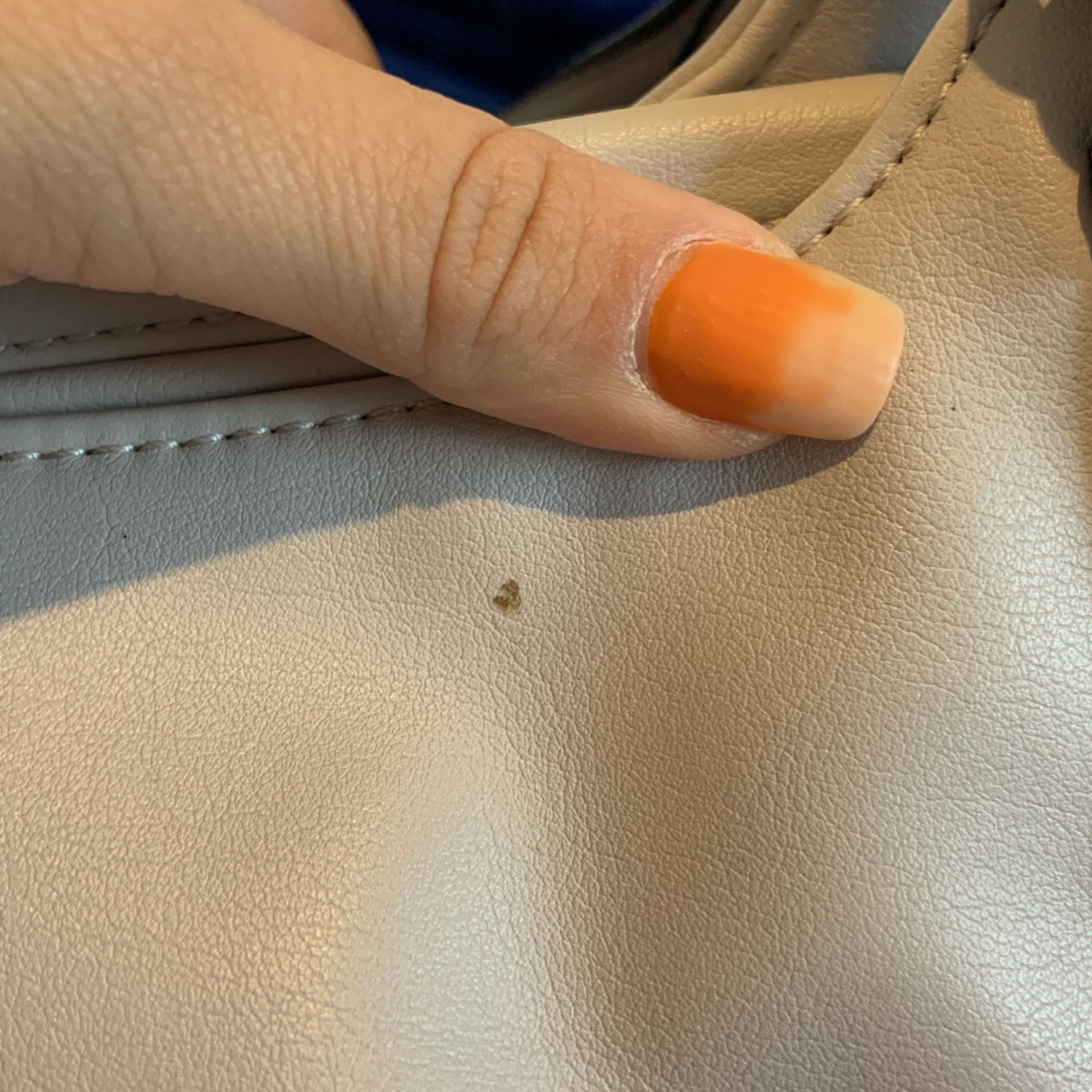 Vera Wang Purse