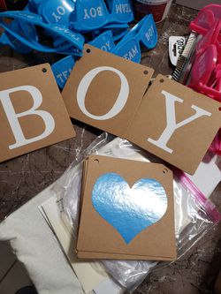 Gender Reveal Party Decorations  Thumbnail
