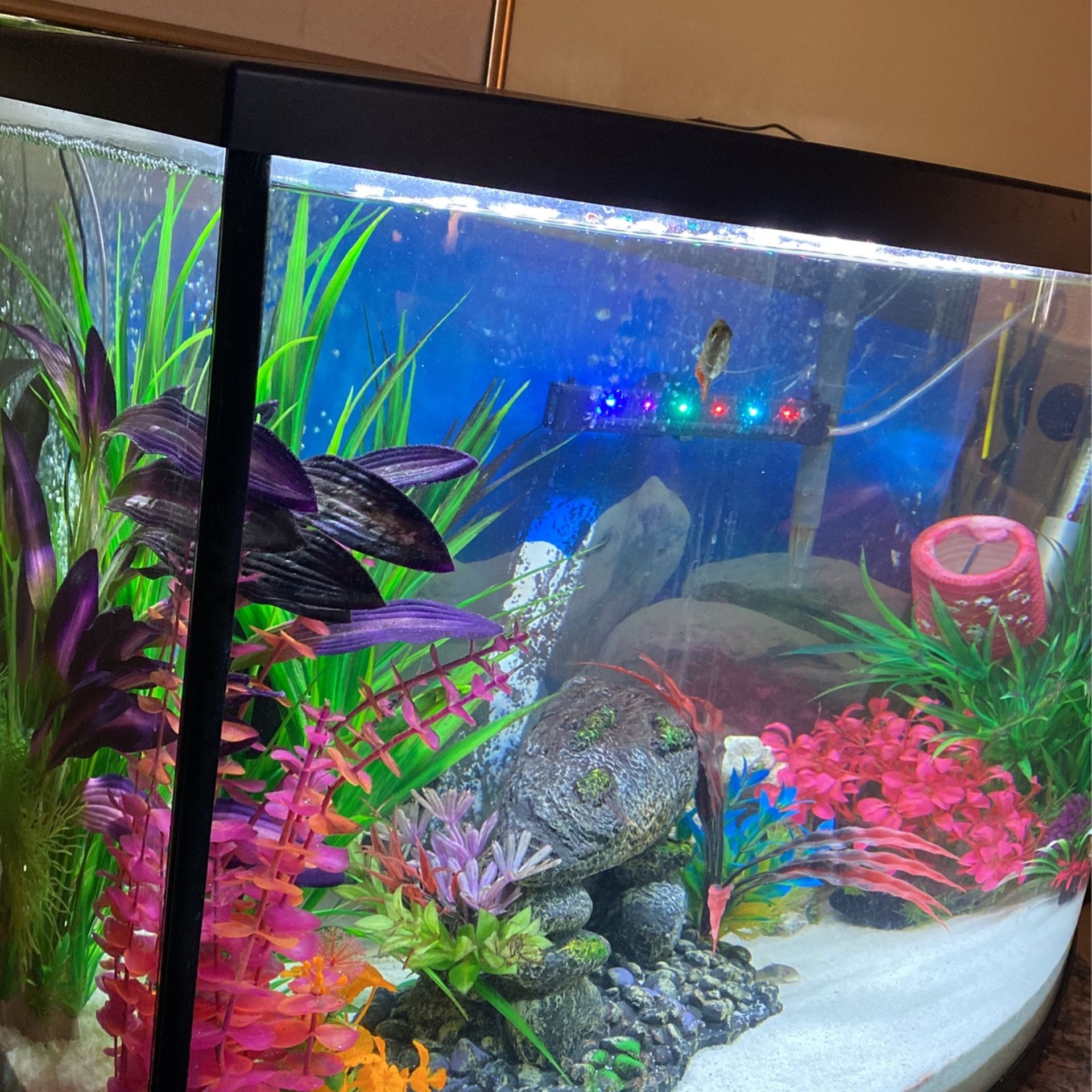 AQUARIUM & HOME DECOR