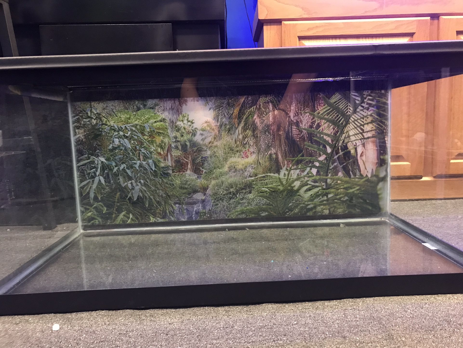 40 gallon Breeder Turtle Tank And Folding Screen Top $100