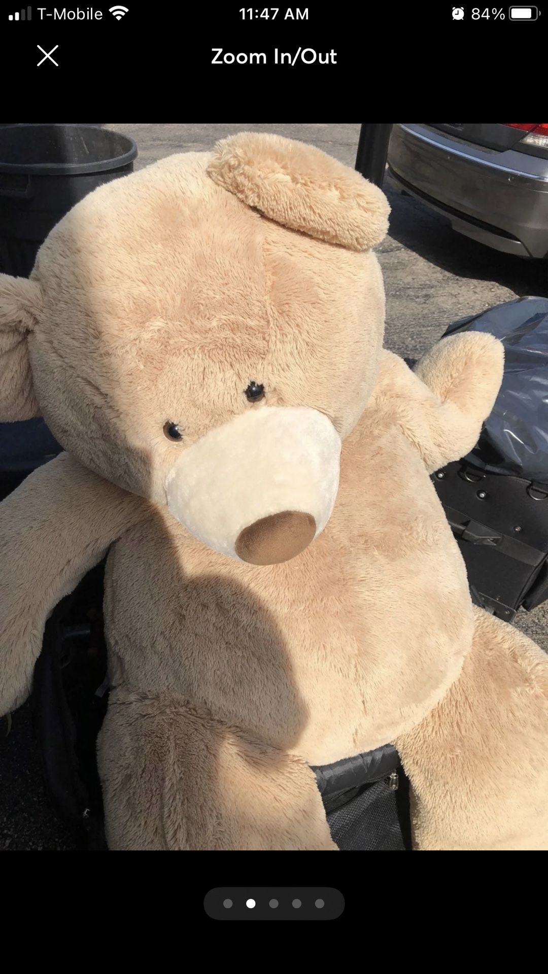 Giant 5ft Bear