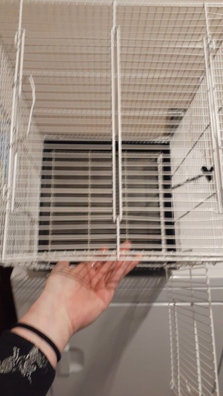Metal Bird Cage Sanctuary