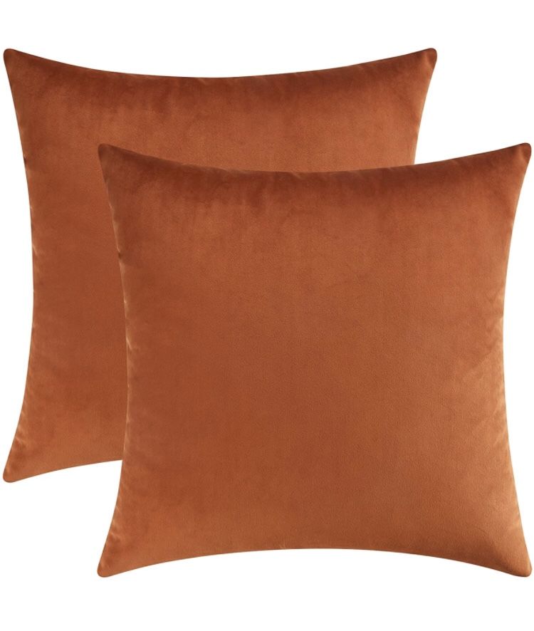 Mixhug Set Of 2 Cozy Velvet Square Covers