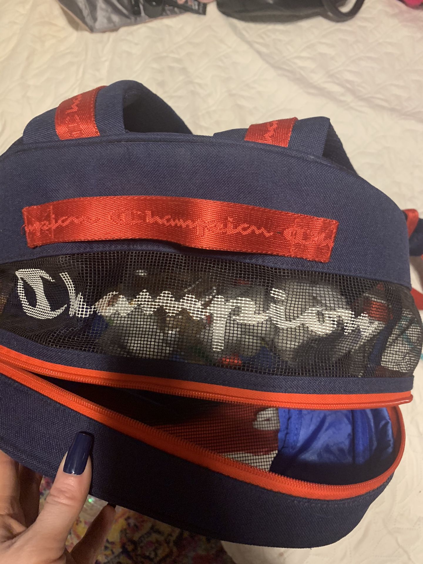 Champion Dog Backpack With Outfits And Leashes