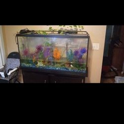 55 Gallon Fish Tank  Thumbnail
