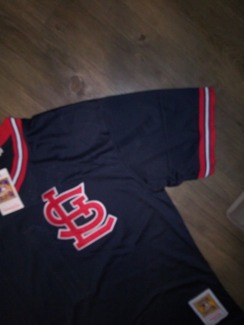 MLB BASEBALL JERSEY