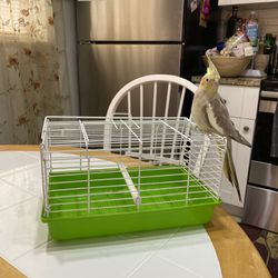 Bird Cage For Traveling (bird Not Included)  Thumbnail