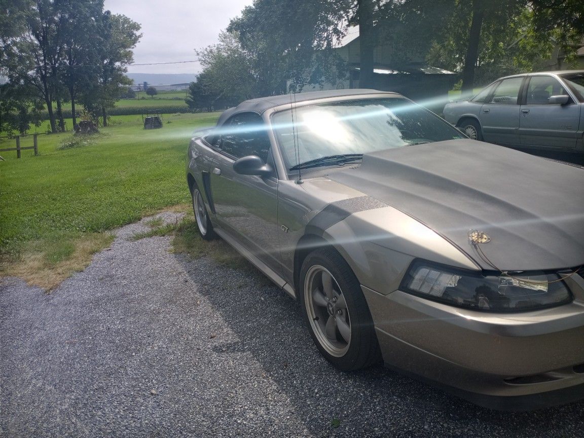 Ford Mustang Wheels 500 OBO