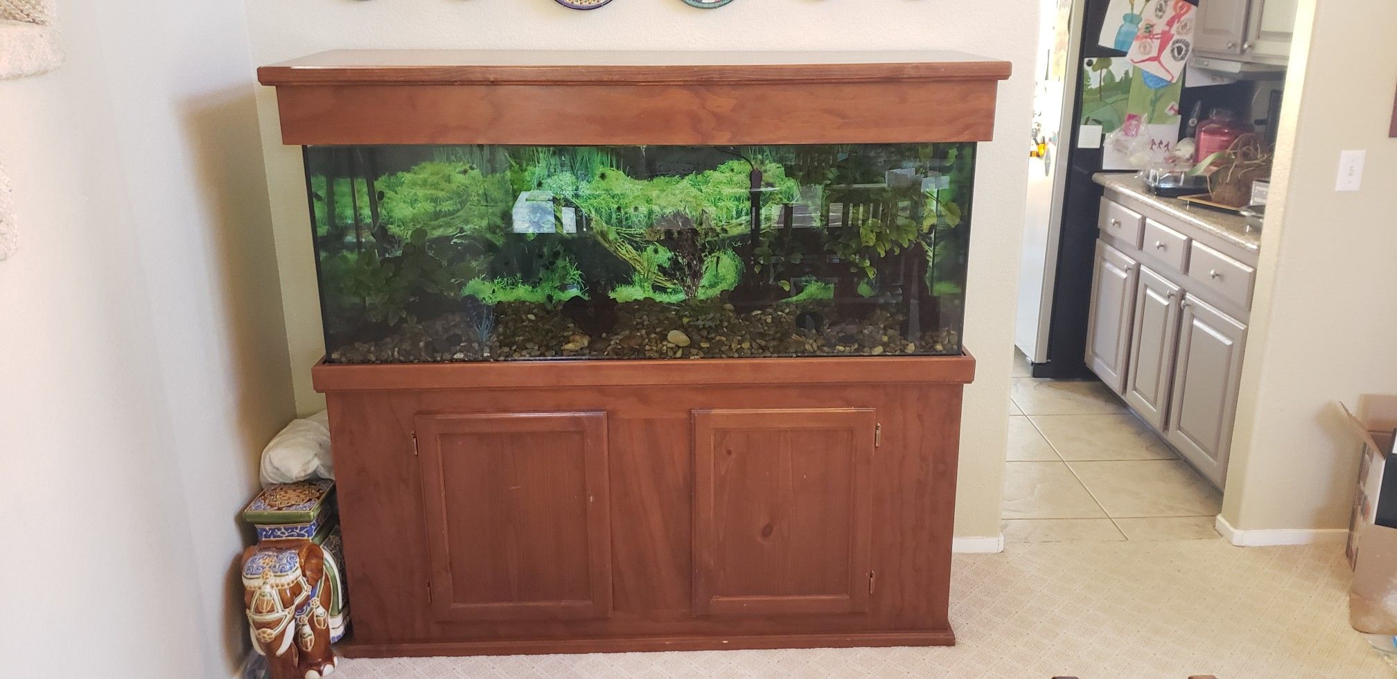 110-gallon-fish-tank-complete-set-up-for-sale-in-las-vegas-nv-offerup