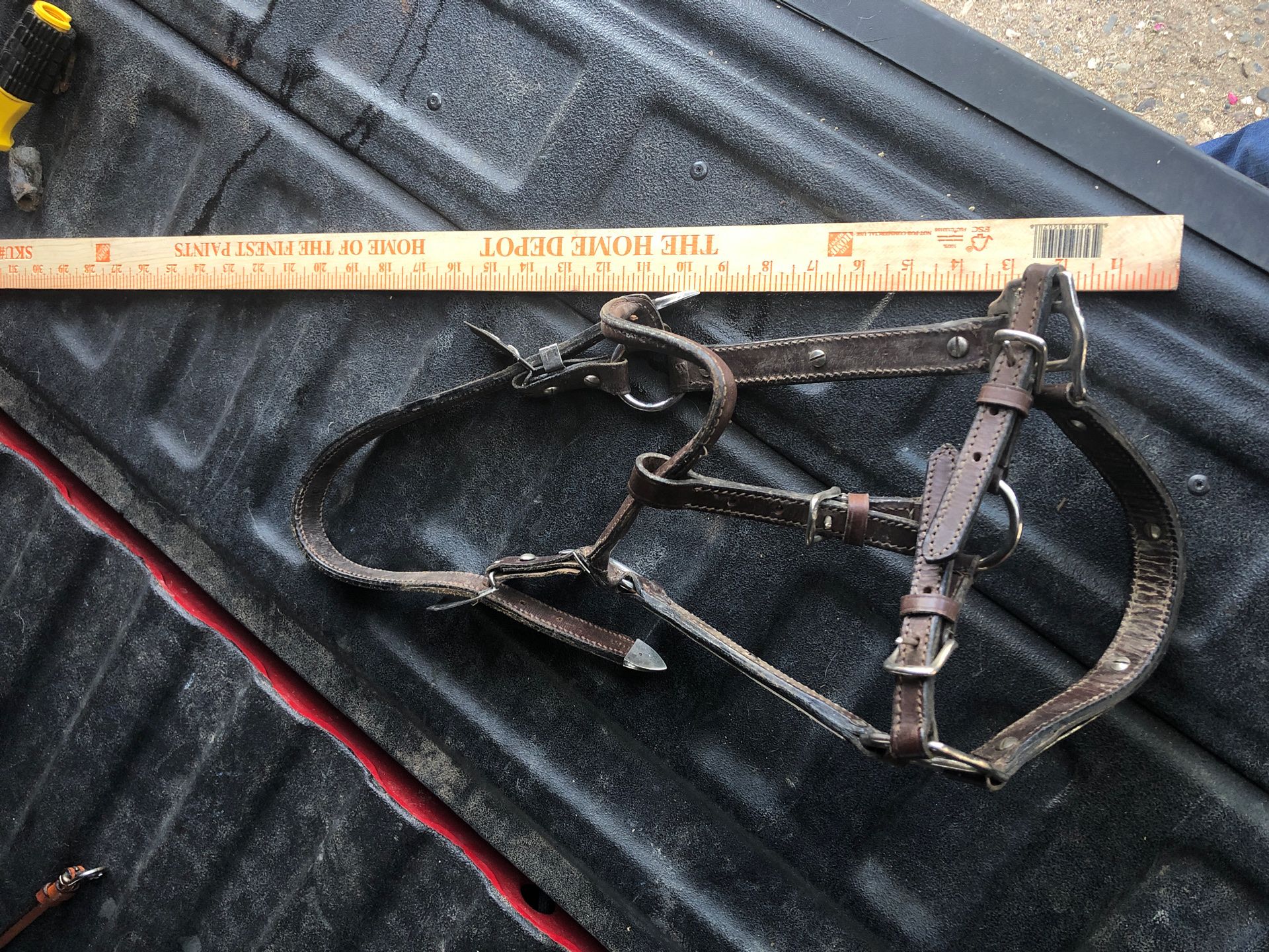 Leather Show Halter