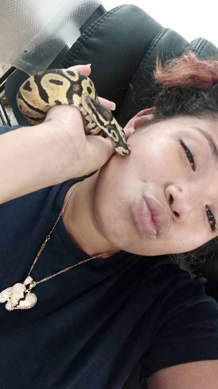 Female Snake 
