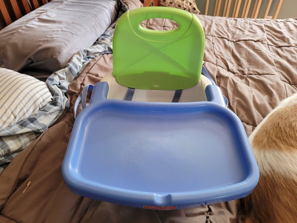 Evenflo Booster Seat