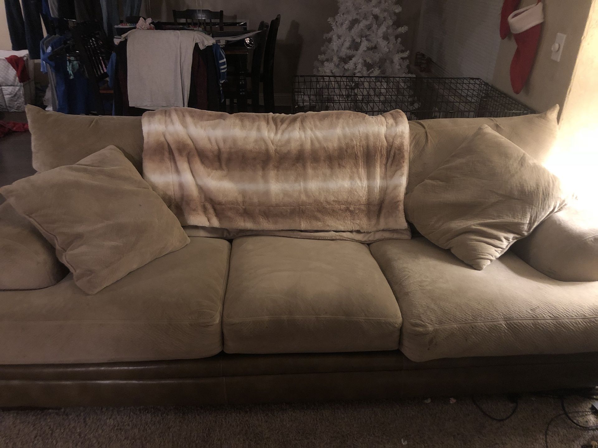 Couch and Love Seat