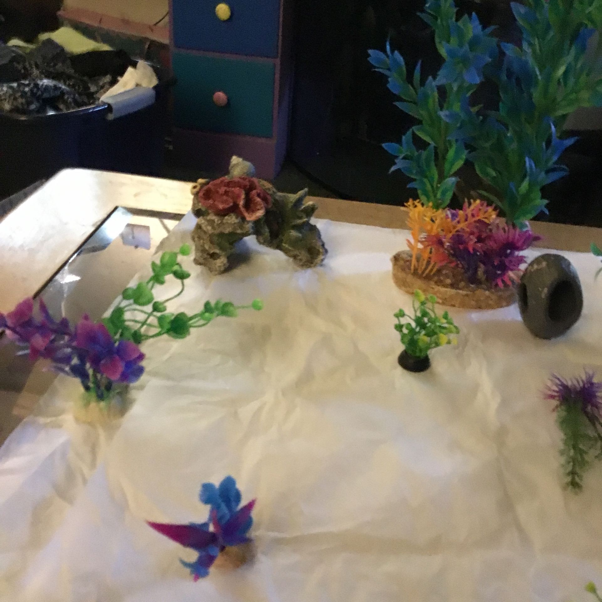 Fish Aquarium Set Up For A Larger Tank Set Or Pieces