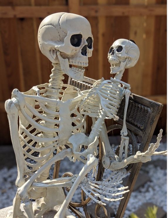 Halloween Decoration Skeleton