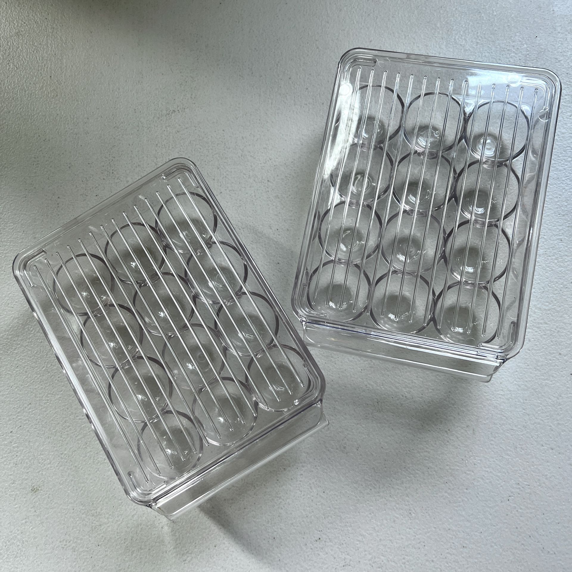 Egg Organizer/Holder (2)