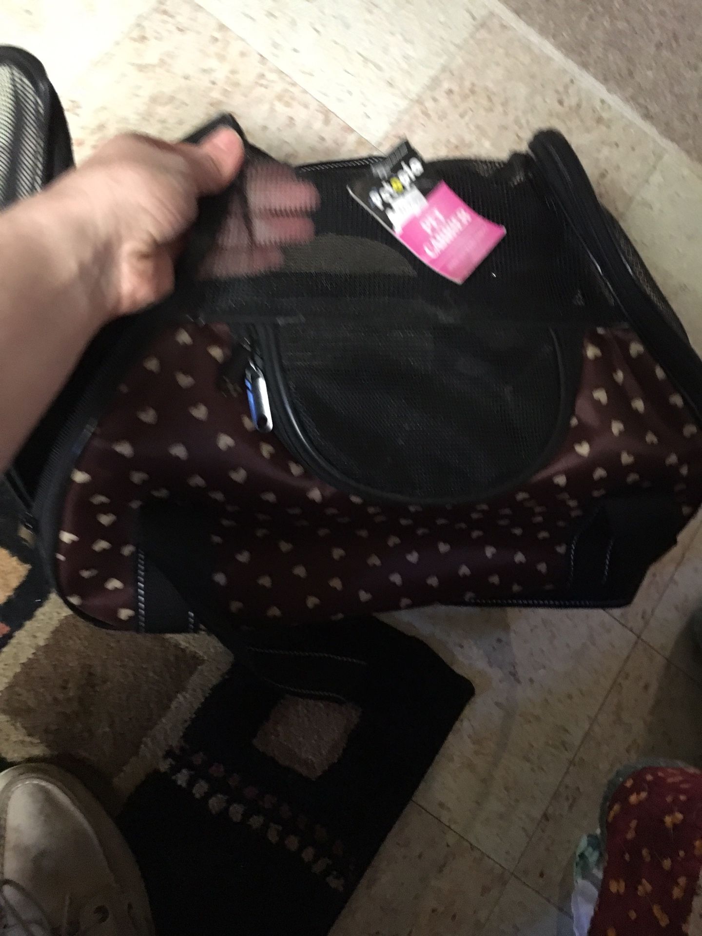 Small pet carrier