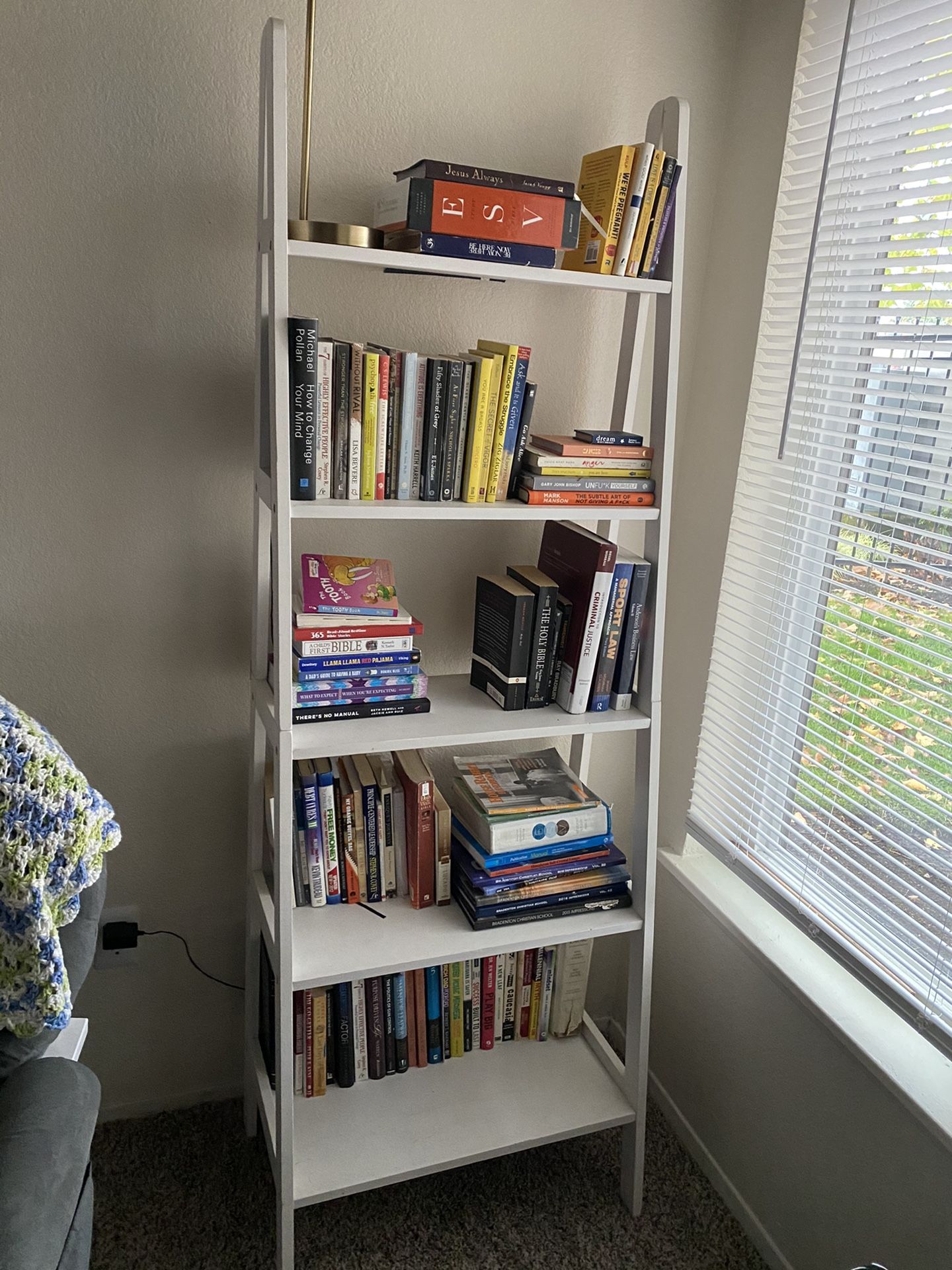 White Ladder Book Shelf