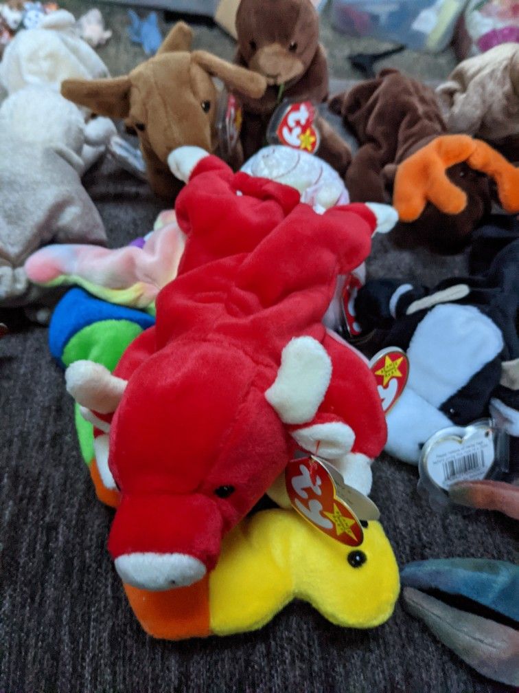 TY Beanie Baby Collection