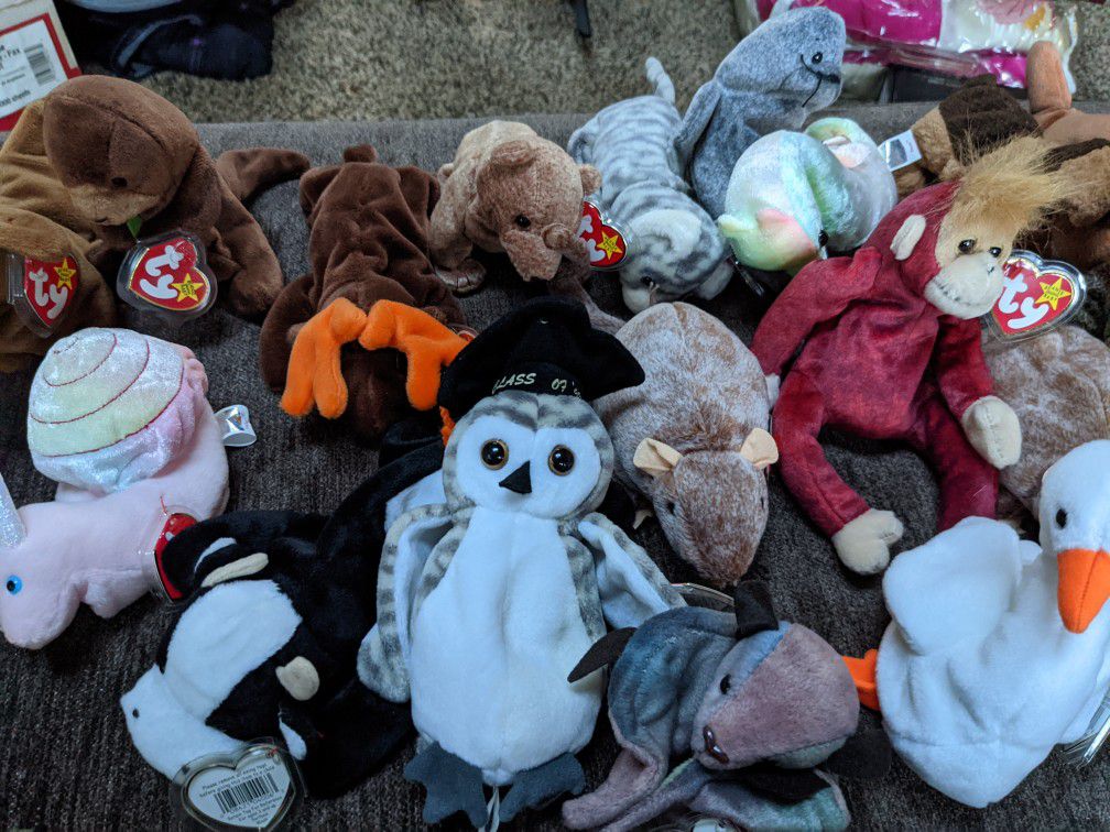 TY Beanie Baby Collection