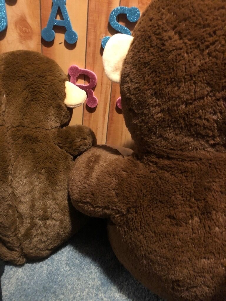 2 stuffed monkeys