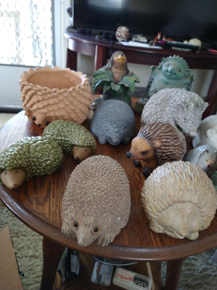 Hedge Hog Collection
