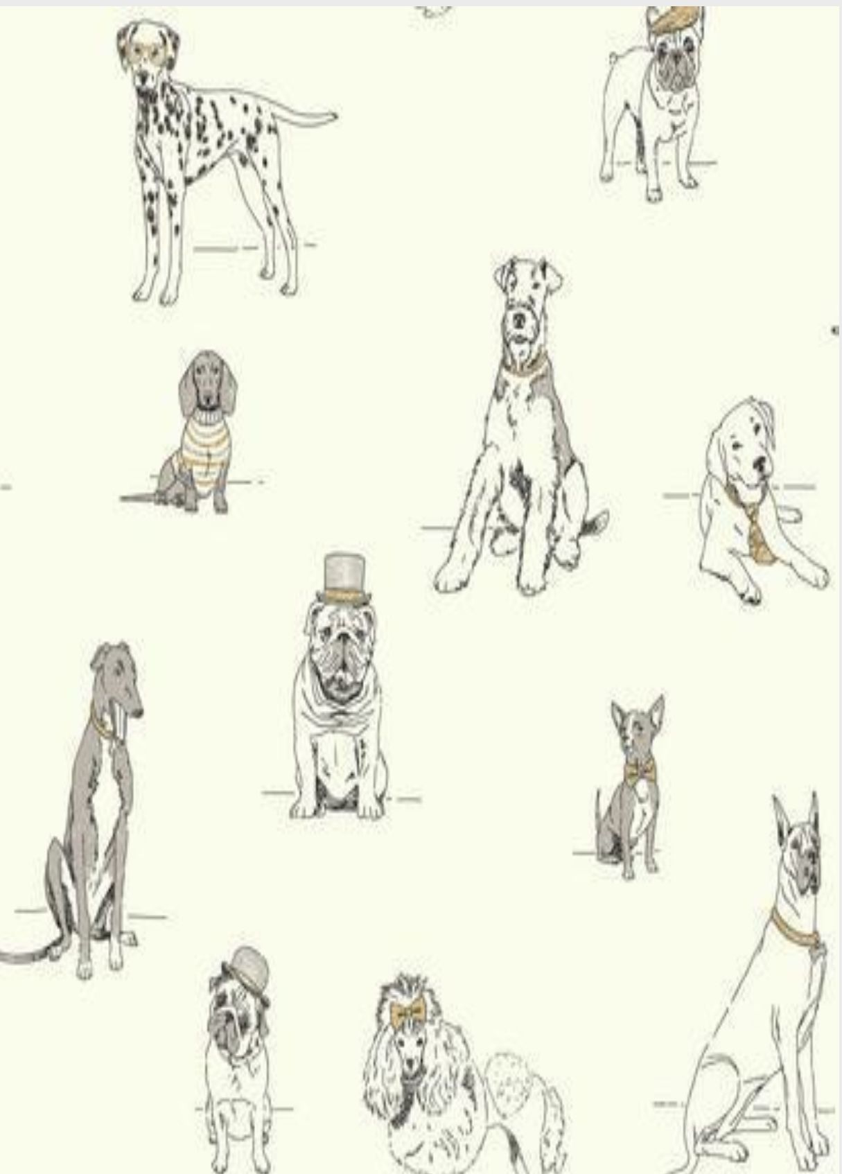 (2) Dog’s Life Wallpaper AF 1938 York Wallcoverings