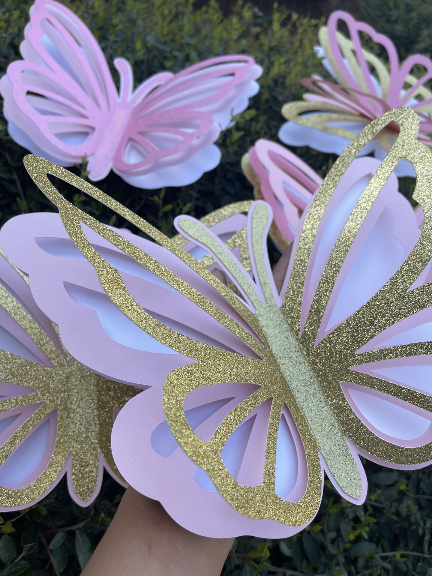 3D Large Butterflies
