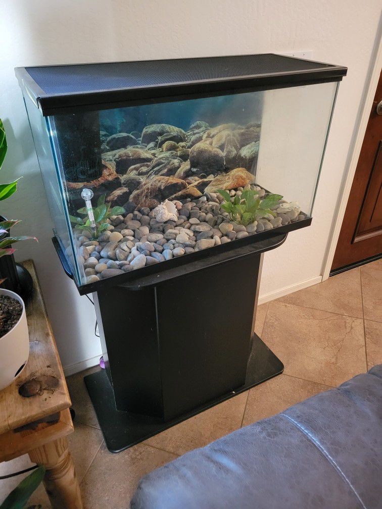 30 Gal tank/aquarium 