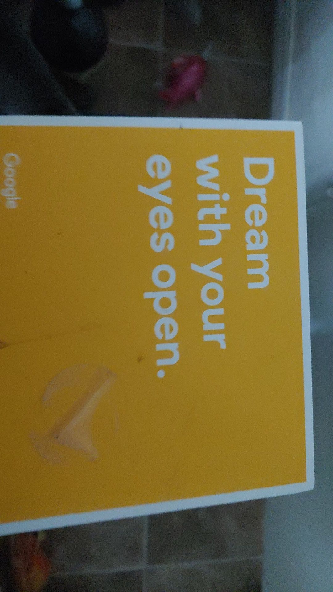 Google Daydream View