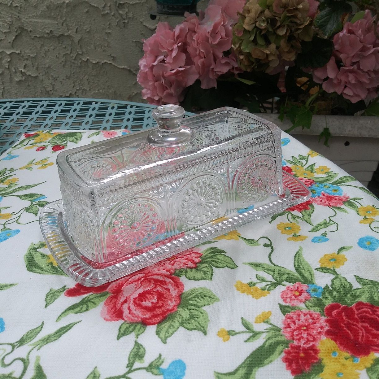 Pioneer woman Clear Adeline