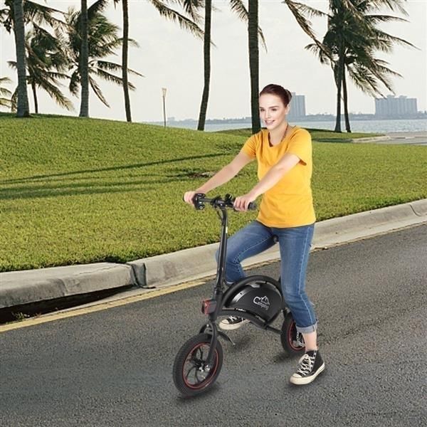 Folding Electric Bike, with 250W Motor and 6 Ah Lithium Battery