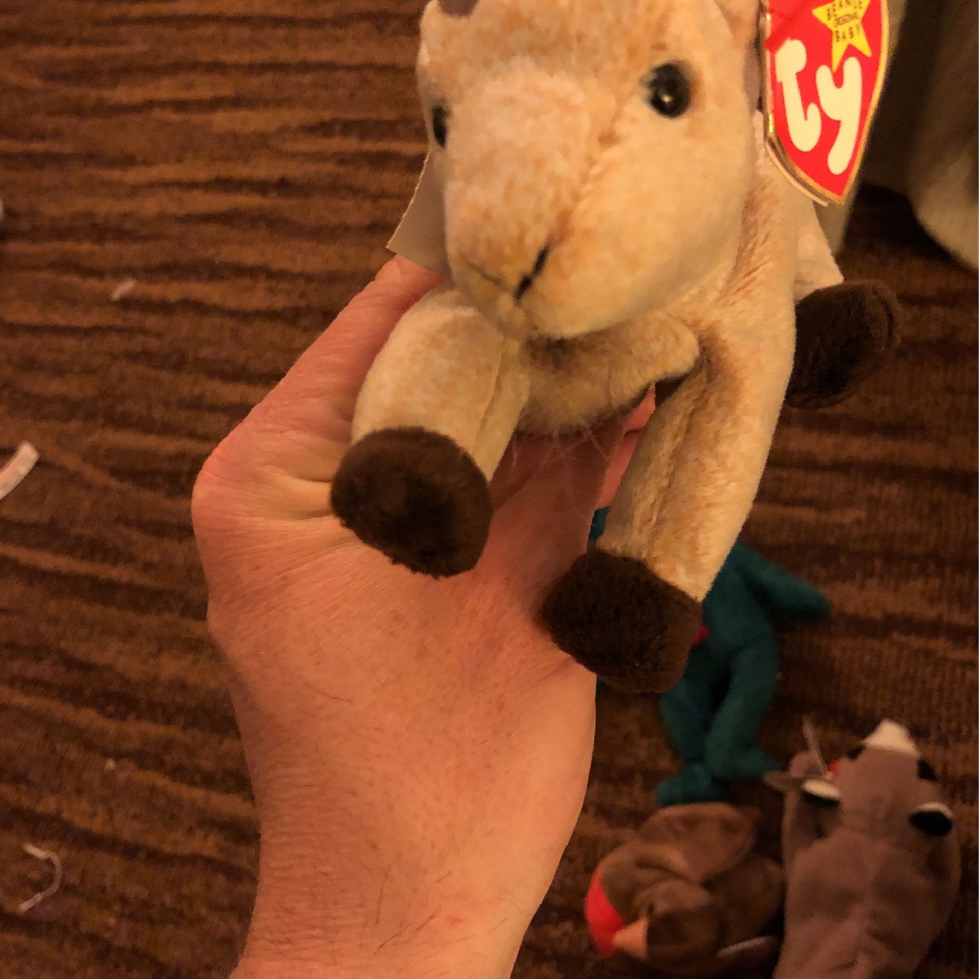Ty Beanie Baby Goatee (1999)