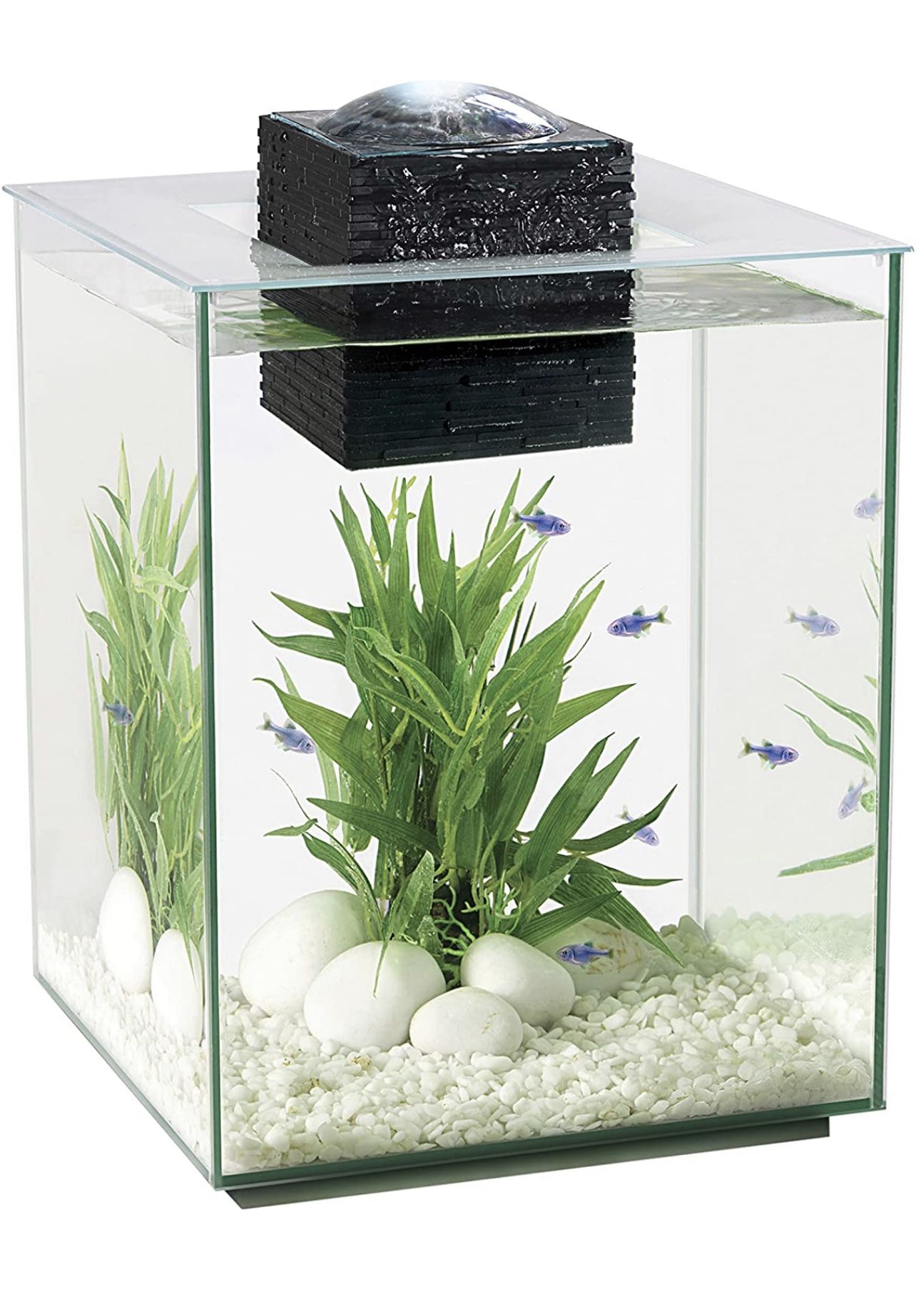Fluval Chi 5 Gallon Aquarium