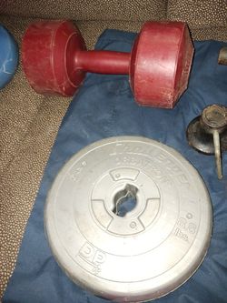 Free Weights And Bars And Clamps 5 Pounders A 8.8 Pounder And A 10 Pounder Thumbnail