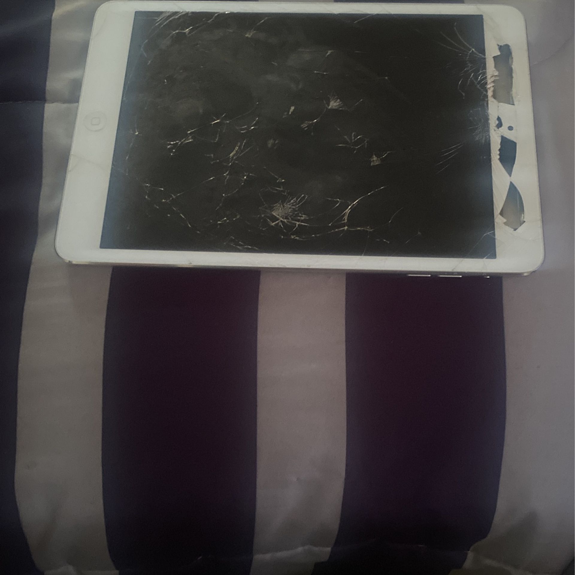 iPad Mini For Sell For Parts 