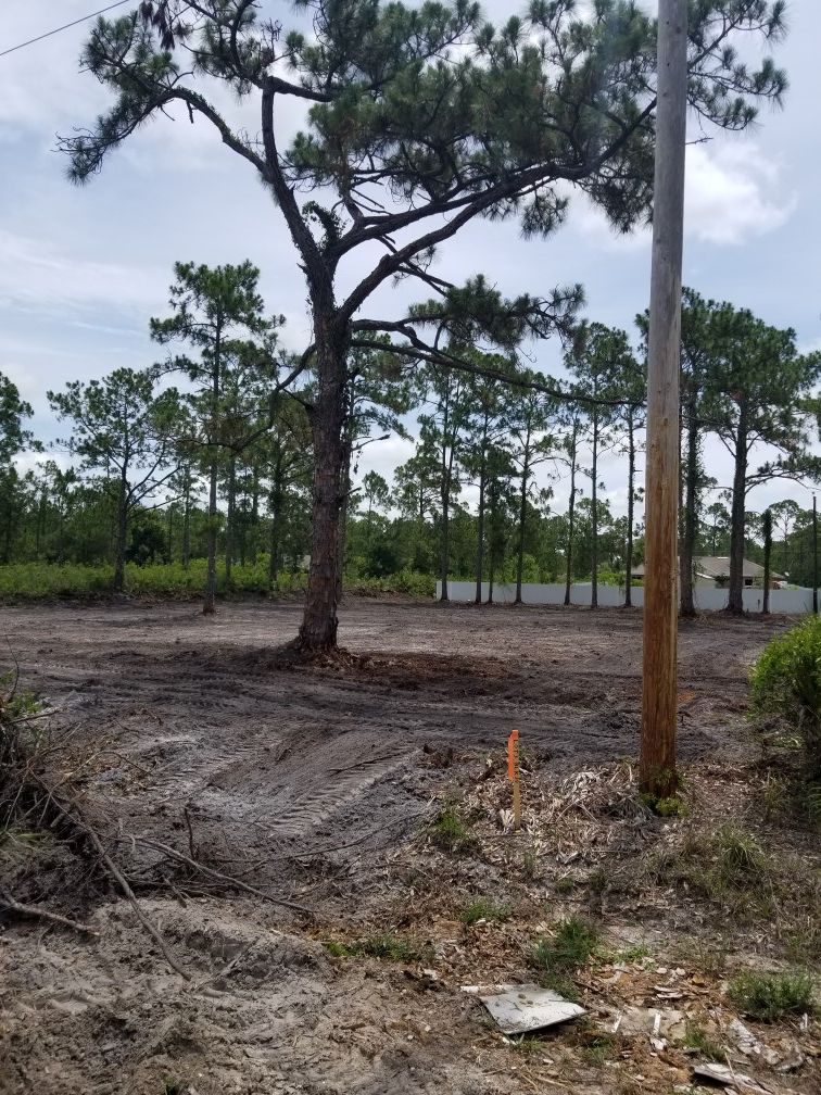 LOT CLEARING / BOBCAT SERVICE / PROPERTY CLEAN UP